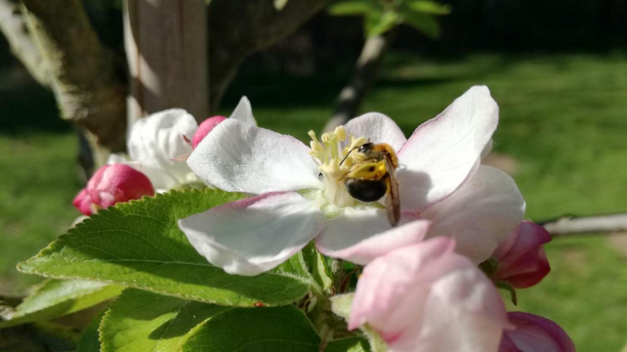 Clos Charmille Meaulne エクステリア 写真